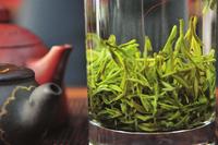 绿茶制作工艺流程解读蒸青与炒青有何不同