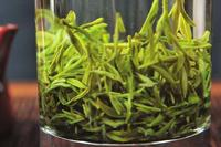 喝绿茶好吗喝绿茶真的能防癌吗