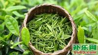 绿茶的保存方法大全保存绿茶的忌讳,那么绿茶如何保存？