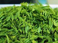 夏季到了如何进行绿茶贮存？