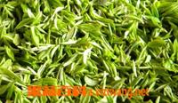 毛尖绿茶营养和功效
