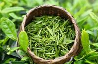 绿茶的美容功效与用法