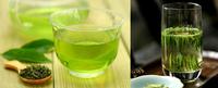 绿茶和菊花能一起泡吗？喝绿茶有什么作用