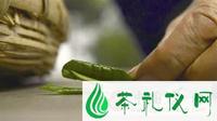 细说中国50种绿茶果断收藏慢慢看