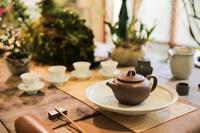 台湾茶文化的形成与发展及茶艺特点