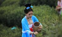 中国茶艺的文化及中国茶艺的特点介绍