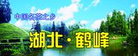 湖北省鹤峰县:夯实板块基地打造茶叶品牌