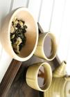 玄参茶饮的功效与作用有哪些怎么做的呢