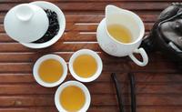 白芽奇兰茶的泡法及功效