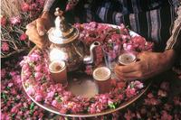玫瑰薄荷茶的功效及其相关的制作方法