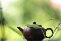 大青草河茶具有清热解毒凉血消肿功效