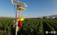 湖林乡：茶园引进太阳能杀虫灯守护茶叶健康安全生产