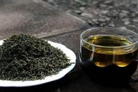 辣木茶保健养生能有效排毒解酒降血糖