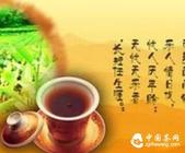 自制春季各种保健养生茶