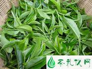 普洱茶原料等级的界定存在着“绿茶思维”