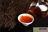 茶多酚与普洱茶感官品质关联分析