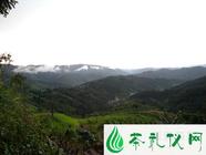 易武普洱茶区的地理优势及气候条件