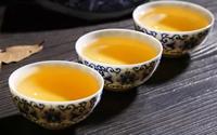 普洱茶中的儿茶素有何功效与作用你知道吗？