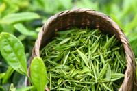 绿茶功效：绿茶的十大功效你知道多少呢