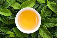 每天饮用绿茶可以满足人体对维生素的需求