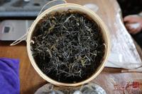 人工驯化茶叶的进化史分析野放茶特性