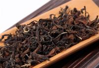 虫子侵蚀过的茶叶居然是颜值最高的茶