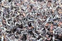 东方美人是什么茶品质的形成竟靠害虫