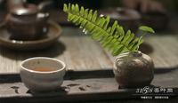 中国的茶道为何多种多样