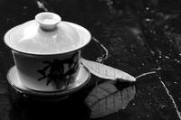 中国茶文化：茶的演变及主要名特茶介绍