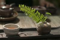 中国茶文化浅谈四大茶道里的贵族茶道