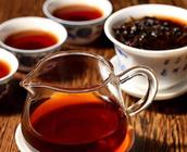 解读四季普洱茶的饮用选购，你一定要知道！