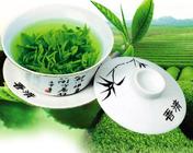 绿茶存放|夏季保存绿茶的四大禁忌！