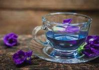 蝴蝶豌豆茶