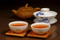 茶文化专家讲解茶的三次生命如何炼成