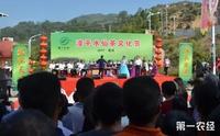 2017年漳平水仙茶文化节在南洋镇举行