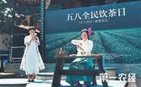 云南启动2017滇茶文化科普年