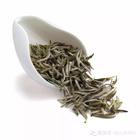 优良茶树品种——福鼎大白茶