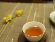 普洱茶，一年陈三年药七年宝(2015