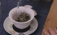 白茶是什么口感白茶的甜从何而来？