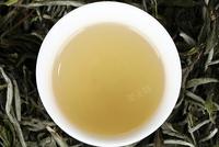 安吉白茶与福鼎白茶有哪些不同？