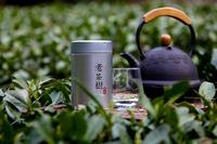 龙井茶为什么叫龙井茶？