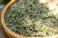 日照绿茶的加工工艺和质量特色！