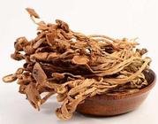 关于茶树菇的功效作用，茶树菇的推荐吃法！