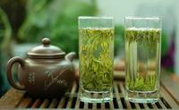 崂山绿茶的8大养生功效分享