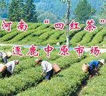 河南“四红茶”逐鹿中原市场