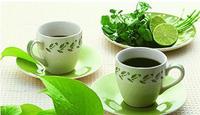 日照绿茶是怎样的绿茶?