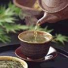 为什么日照绿茶会成为山东省的名茶?