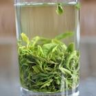 日照绿茶为何被称之为“丑茶”