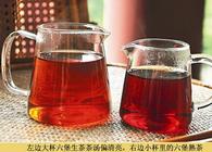 六堡茶与普洱茶的区别差异