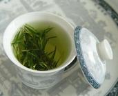 喝绿茶预防流行性感冒